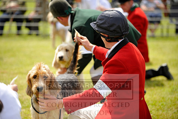 Builth 2014 CF1 342