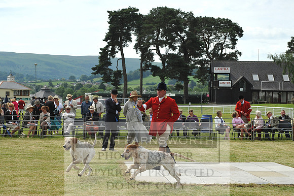 Builth 2014 CF2 045