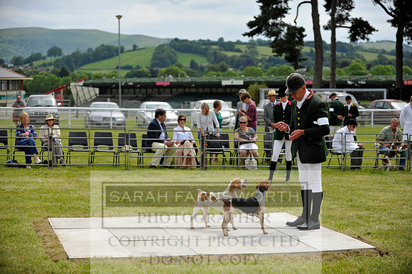 Builth 2014 CF1 538