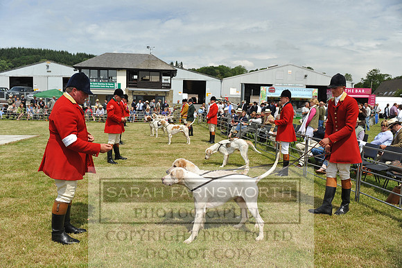 Builth 2014 CF2 083