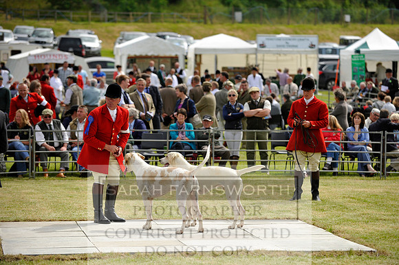Builth 2014 CF1 235