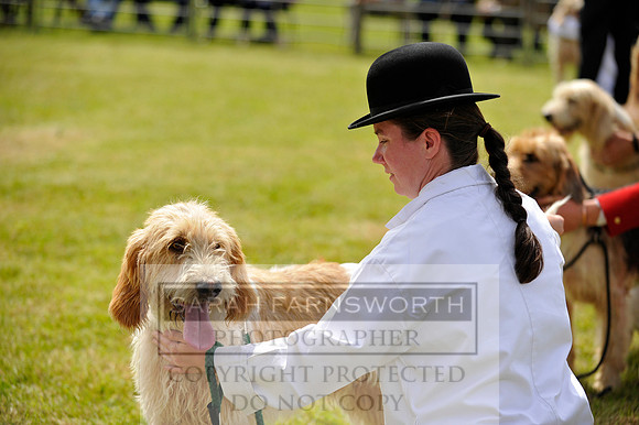 Builth 2014 CF1 353
