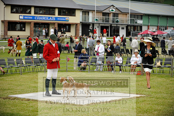 Builth 2014 CF1 043