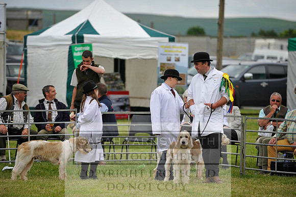 Builth 2014 CF1 681
