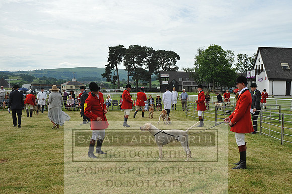 Builth 2014 CF2 028