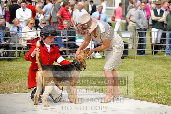 Builth 2014 CF1 311