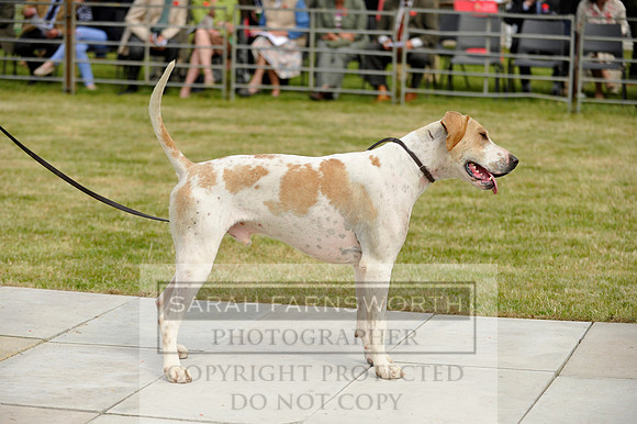 Builth 2014 CF1 222