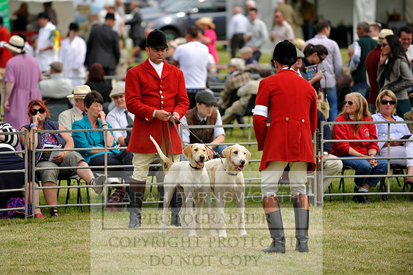 Builth 2014 CF1 567