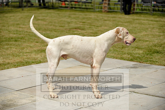 Builth 2014 CF1 510