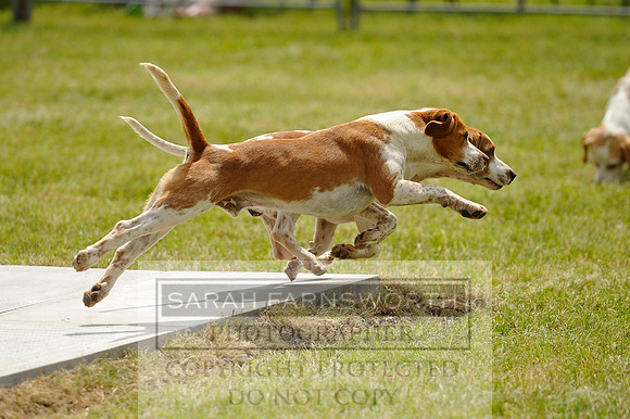 Builth 2014 CF1 434