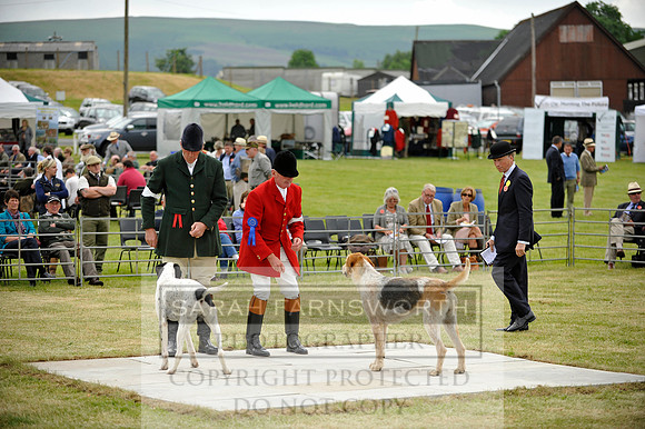 Builth 2014 CF1 169