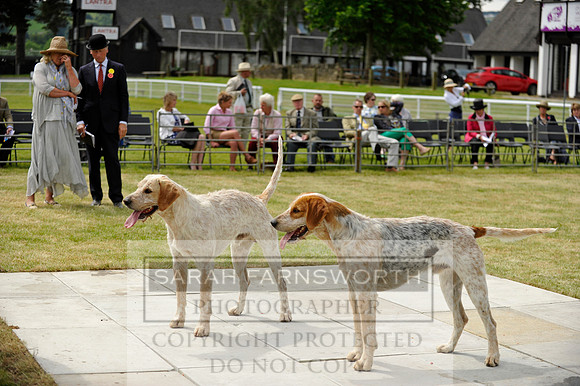 Builth 2014 CF1 291