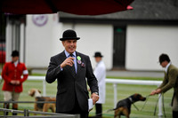 Builth 2014 CF1 001