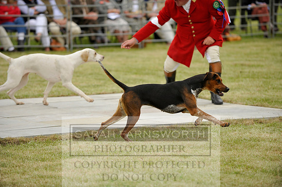 Builth 2014 CF1 635