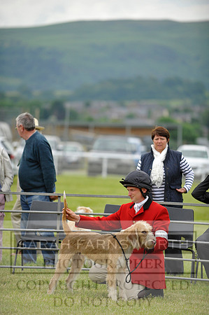 Builth 2014 CF1 184