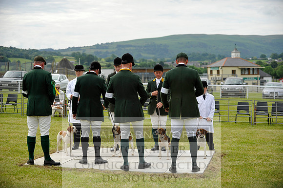 Builth 2014 CF1 098