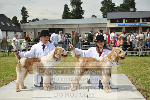 Builth 2014 CF2 066
