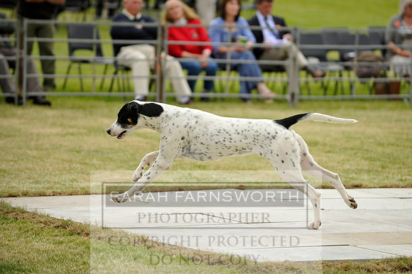 Builth 2014 CF1 157