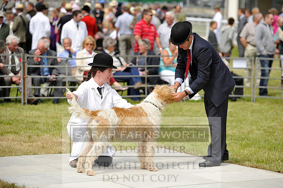 Builth 2014 CF1 305