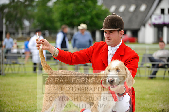 Builth 2014 CF1 195