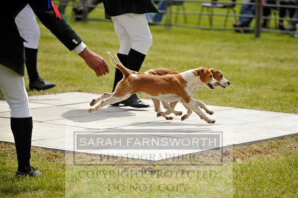 Builth 2014 CF1 432