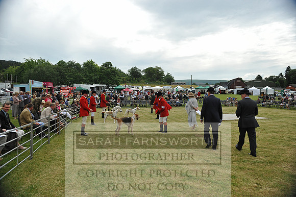 Builth 2014 CF2 016