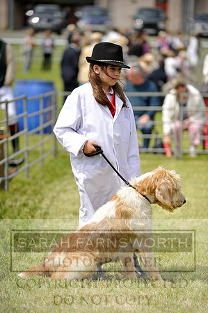 Builth 2014 CF1 326