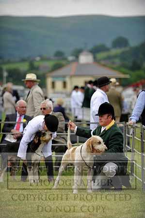 Builth 2014 CF1 179