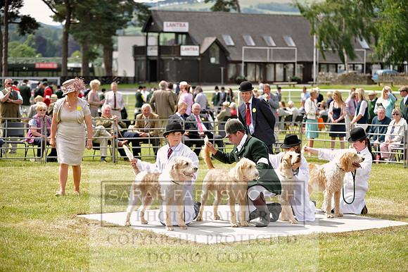Builth 2014 CF1 370