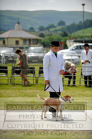 Builth 2014 CF1 474