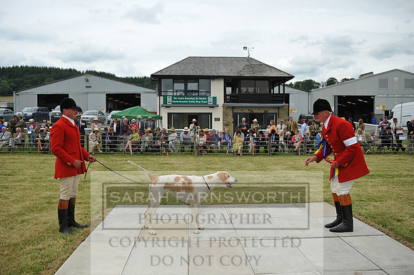 Builth 2014 CF2 155