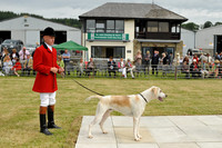 Builth 2014 CF2 003