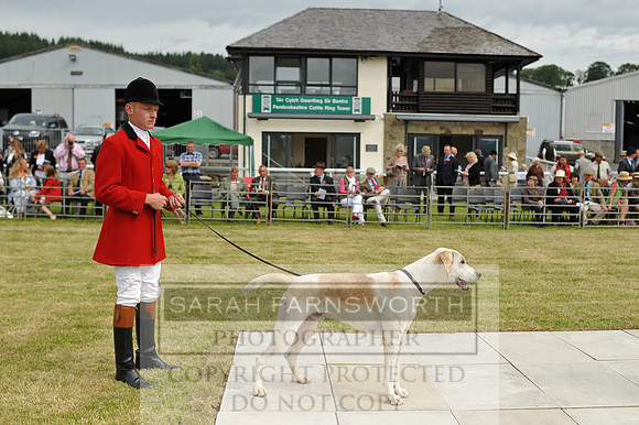 Builth 2014 CF2 003