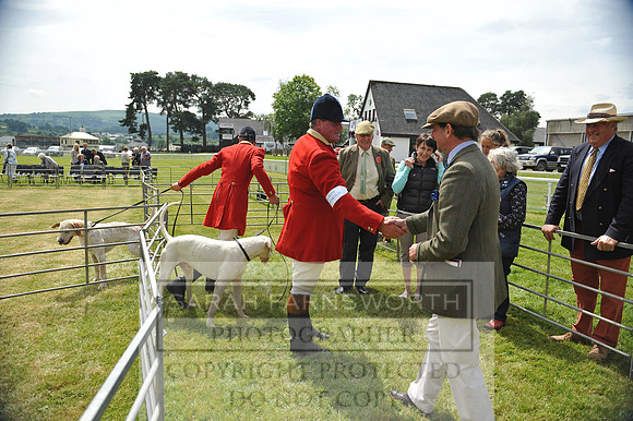 Builth 2014 CF2 105