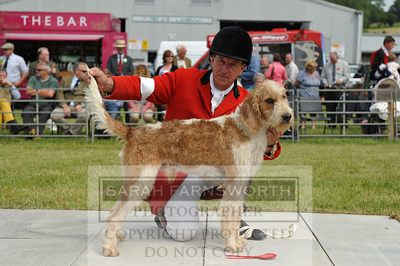 Builth 2014 CF2 033