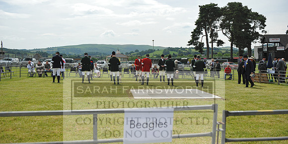 Builth 2014 CF2 081