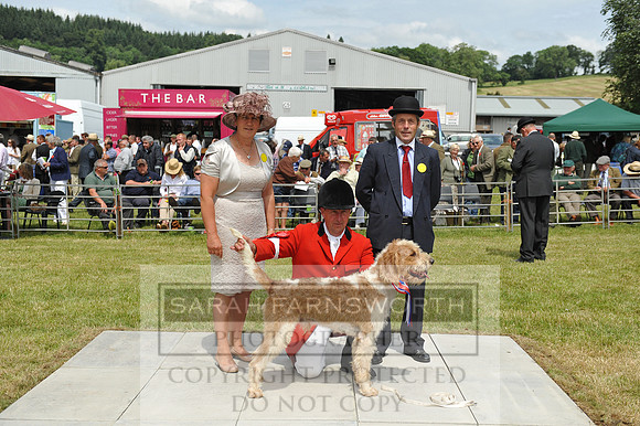 Builth 2014 CF2 110