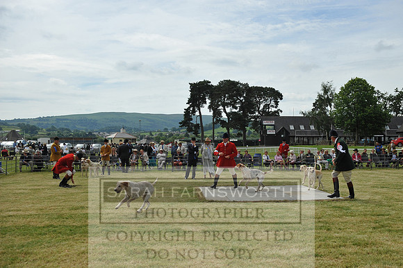 Builth 2014 CF2 040