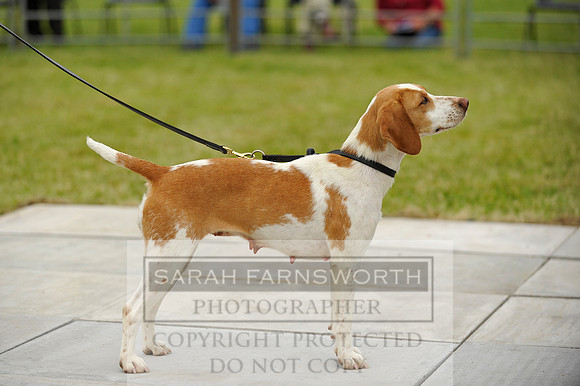 Builth 2014 CF1 672