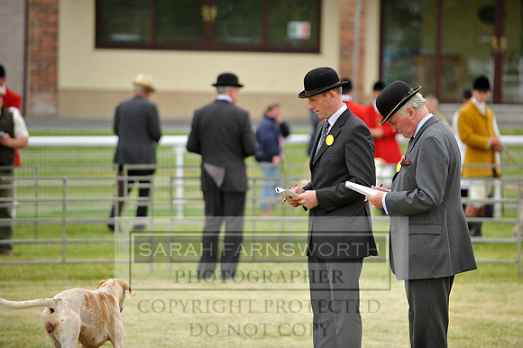 Builth 2014 CF1 685