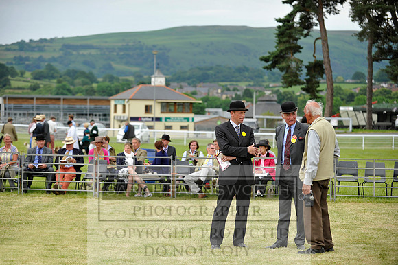 Builth 2014 CF1 723