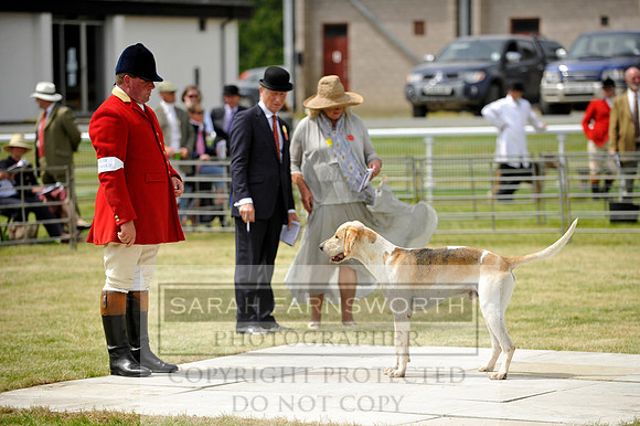 Builth 2014 CF1 389