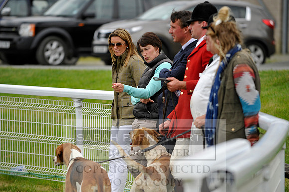 Builth 2014 CF1 692
