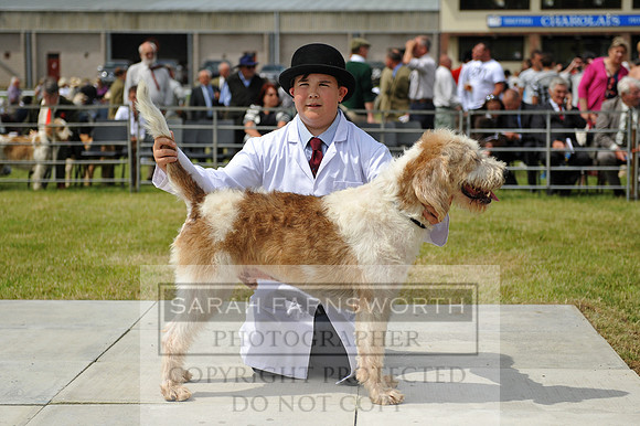 Builth 2014 CF2 062