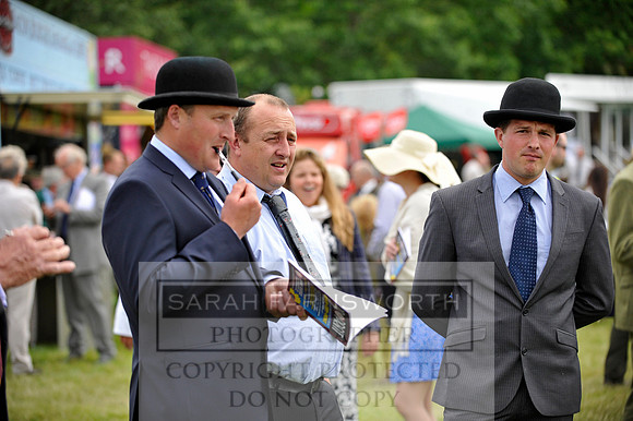 Builth 2014 CF1 201