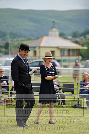 Builth 2014 CF1 544
