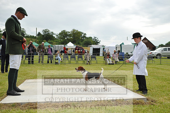 Builth 2014 CF2 007