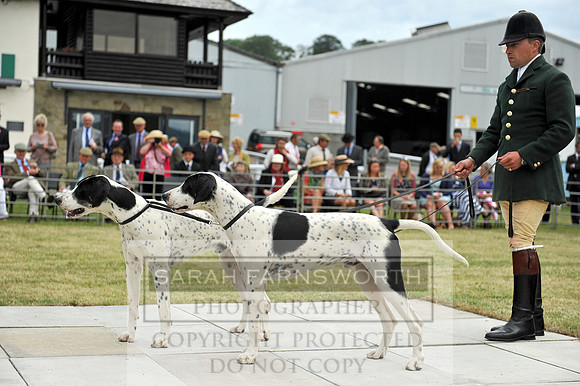 Builth 2014 CF2 012