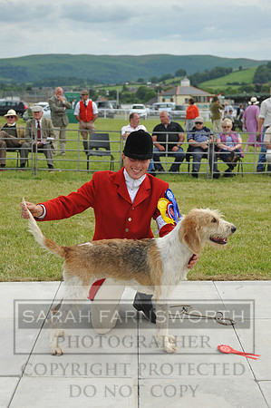 Builth 2014 CF2 136