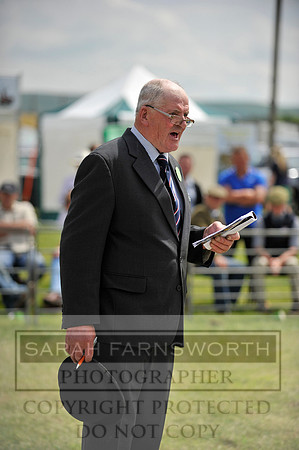 Builth 2014 CF1 533